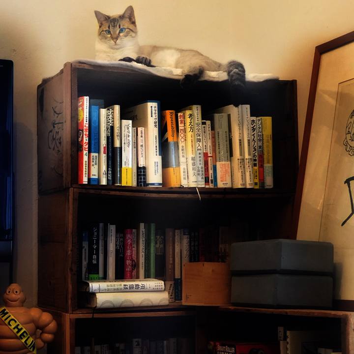 0242f094 c035 487a a9d4 a79112378db9 1749679320586