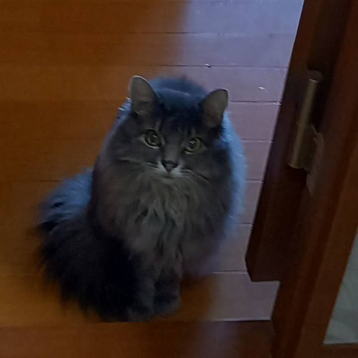 02433eb4 61fa 4582 a919 7e5fa5640bbd 1667732370952