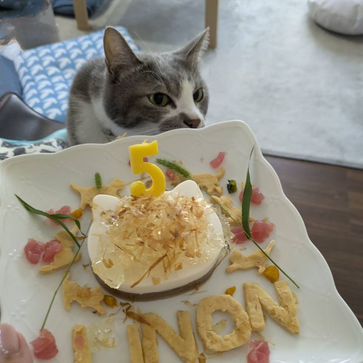 0243c36d 25da 44b9 a421 2565c311e15a 1755586563555