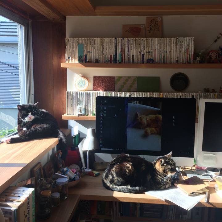 0243e0e9 1bae 45be 9163 2694325d8725 1525998639786