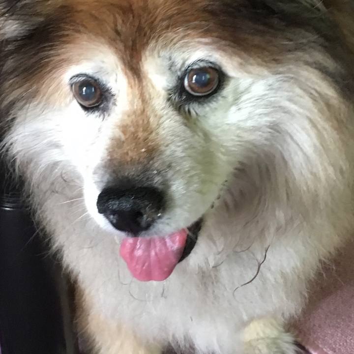 0243ee89 3744 45c1 b49d 0f80a3d69d94 1599010354501