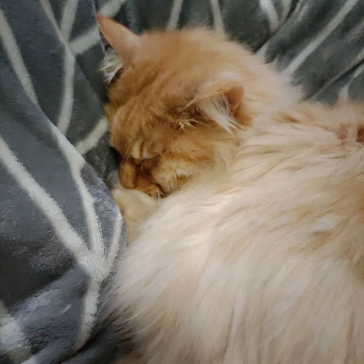 02440102 8c64 4bb8 a7c1 80c65da2070e 1709475712788