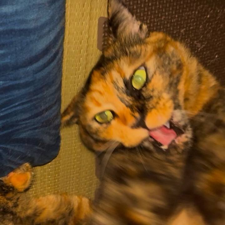 02440303 3e94 47b7 a1ee 93adb71e8b9a 1757104443530