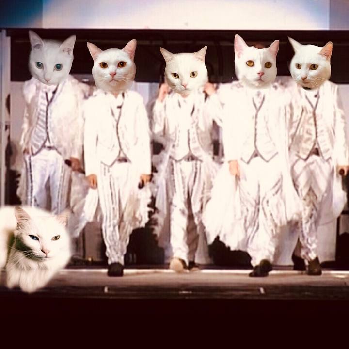 02442269 5223 4e8d b72b ccaa71c72d3b 1543067192577