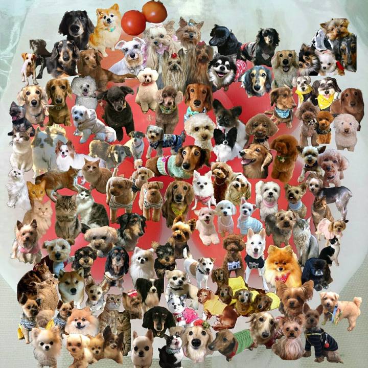 02444c9e 4dbf 4aad 9cee 0aee727d6b5f 1710904714534