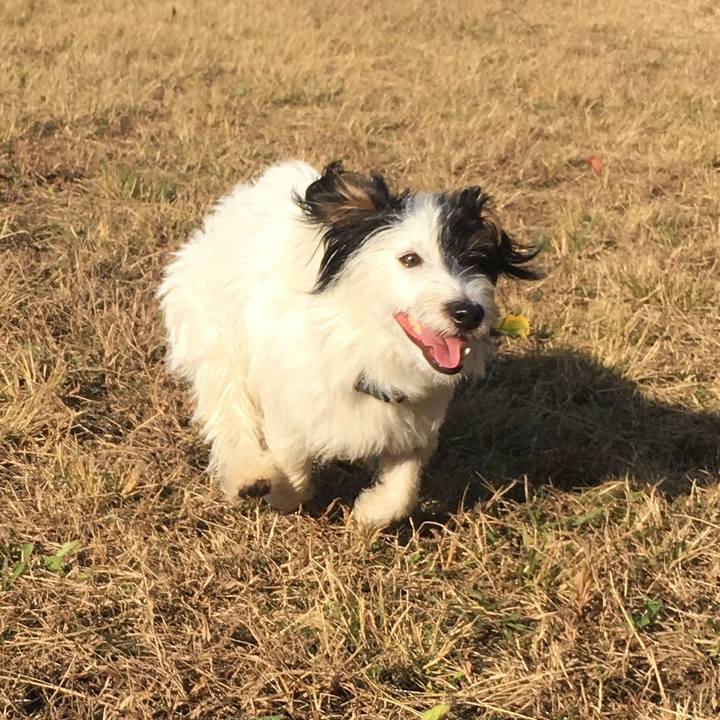 02444d4d d9b8 4e2a b7af 578eeefe7502 1511393469117