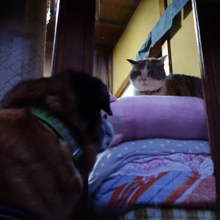 02446a69 a7b5 45c7 b9dd bfad02f53a5a 1556881579947