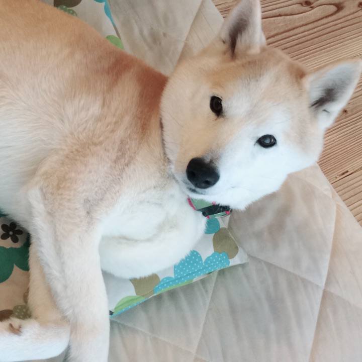 0244aa22 04bc 4ae6 a7ea 95d88fe45863 1554258858812