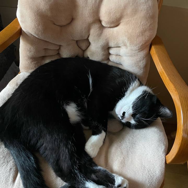 0244cd26 00c4 4910 bd7d 21642f22461d 1656405823503