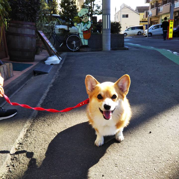 0244e559 ff0b 48b2 b727 335121f54c5a 1570948434298