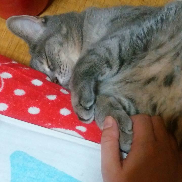 0245070e 22cf 4926 bf2b 1d4eea8b719b 1537621659115