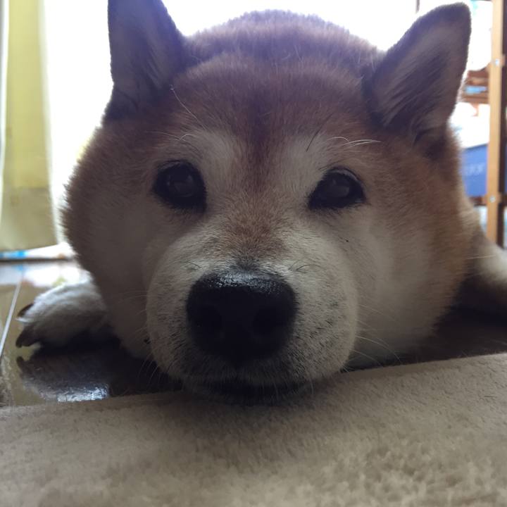 024538b7 d5da 4548 99ce 66da3fac8254 1530323427591