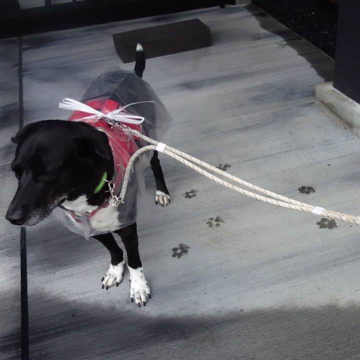 0245506e d92e 4d03 9f0e 5221e222cb85 1663892631393