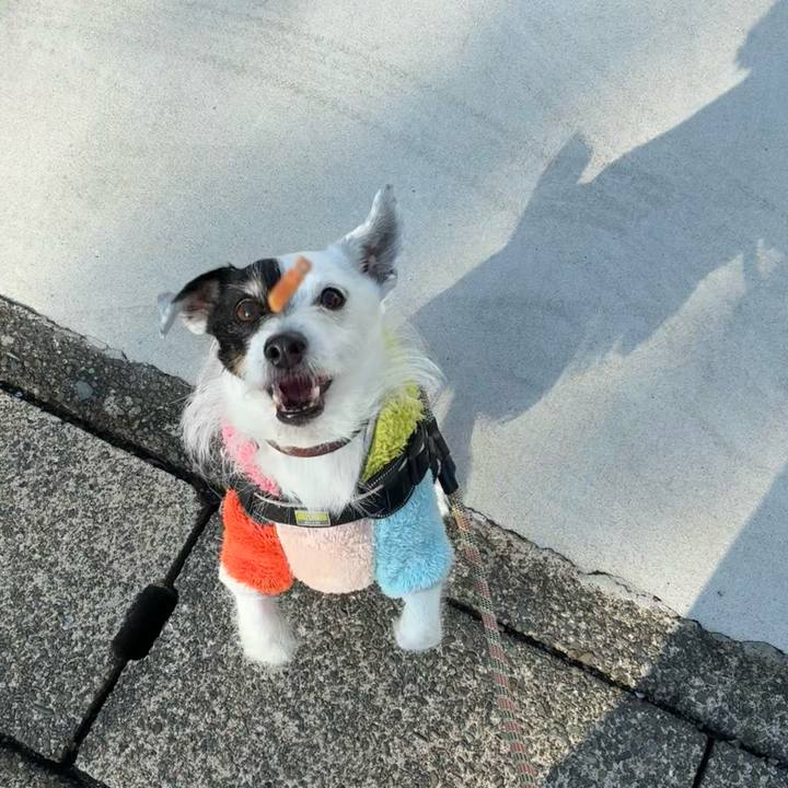 024590d9 e262 4614 be61 8d914e37ffc4 1771372580848