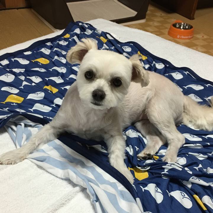 0245b89e af9b 4281 903e 8236ce82ccd6 1537184984391