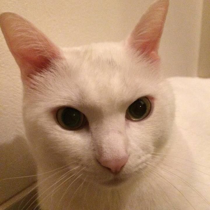 0245c42e 44c5 492d 8d86 f7382bf3d747 1507900576587