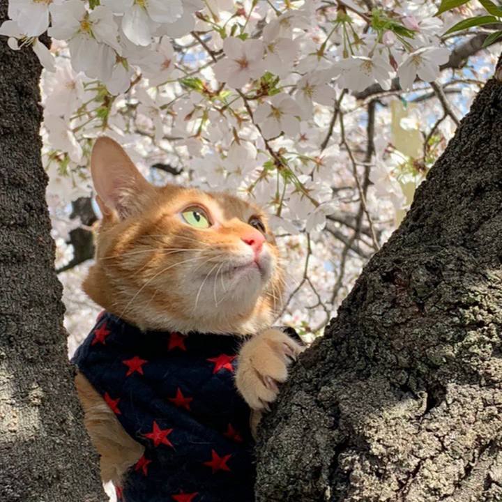 0245eaf5 323b 46d3 82b8 e5c487b08110 1616827551361