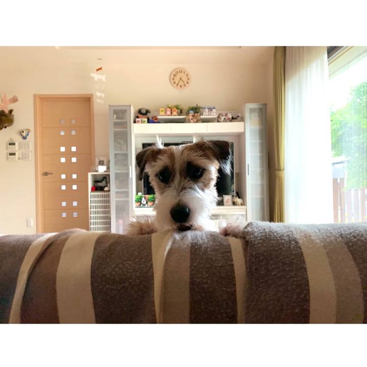 024614c9 b0de 433d 8715 0208a97e7cd2 1595677388925