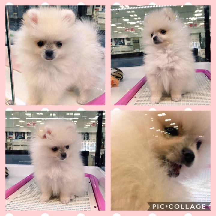 024632c2 e321 4650 8460 0bb38bb24d0e 1539618279153