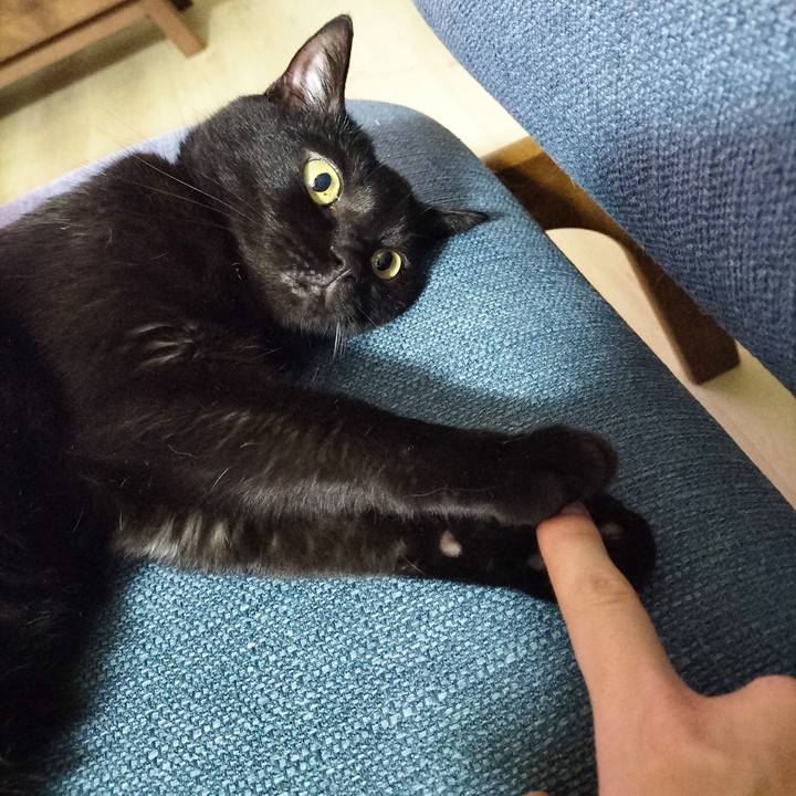 02467ac3 8e93 426a 97e1 3dc51fbcd9ee 1694579431547