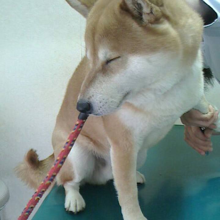 0246a509 e0c0 470d 97f8 3edd843bd359 1522743979351