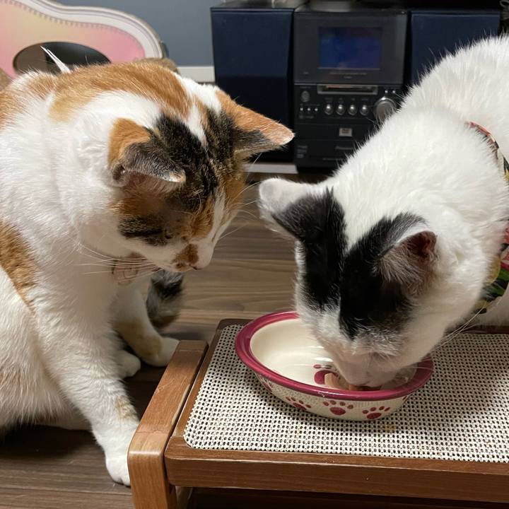 0246a75a e279 4b00 922f eeb9b4e78e43 1645525030704