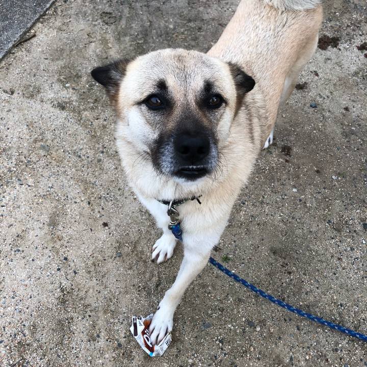 0246b32b 1240 4d69 b75e 9ef91e3424c6 1596455105108