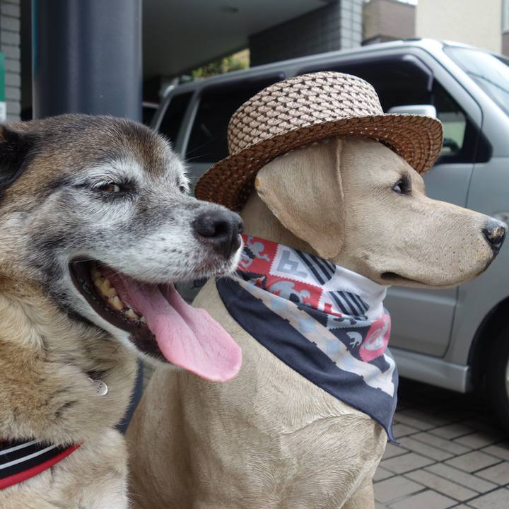 0246c512 f5d5 4b18 b687 be84685095e9 1674608163500