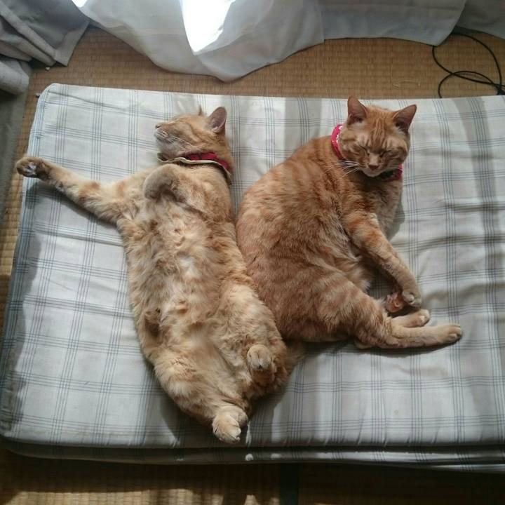 0247316a c8b5 4fc2 a32e e2ec32fa0aec 1520908185610