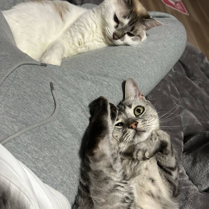 02477b60 c6e9 4ef3 b6c6 561e064a129f 1686654890102