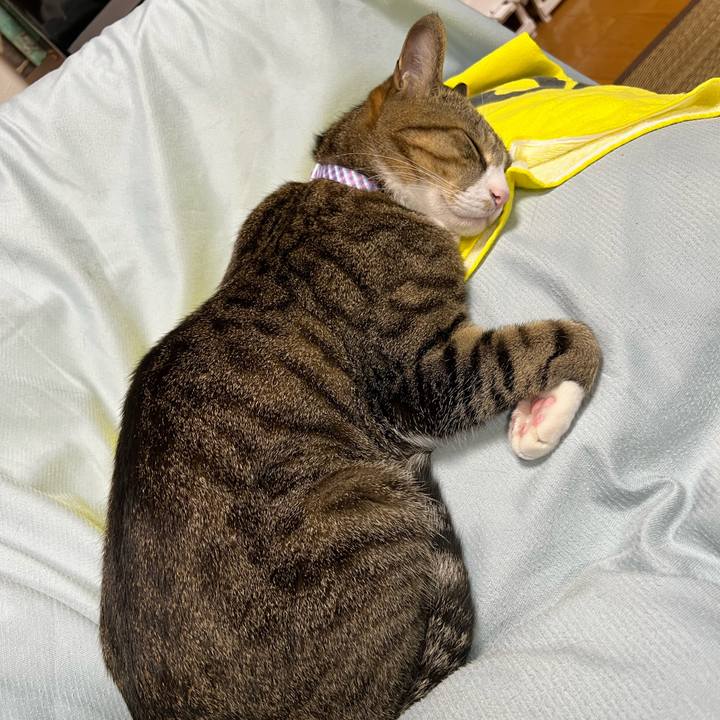 02478b93 0baa 4f11 9ffc 37b74aa15dab 1717418660531