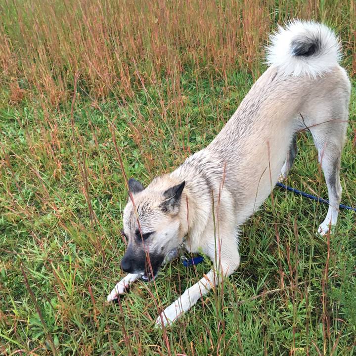 0247bc45 9c1d 433a bd68 b724aa90409b 1508639338836