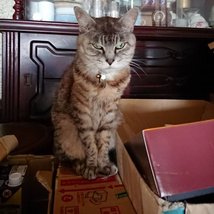 0247cb21 0494 4e05 bf8a df2bedf8c1bf 1567556531822