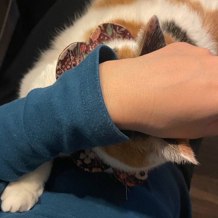 02480602 d888 46de 947a 9cf5aa72ba18 1764687156376