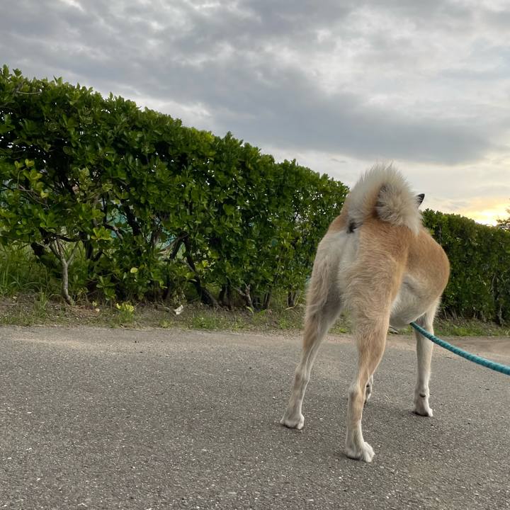 02480c12 a2c3 4368 97a6 a32c4df6d84b 1695299794161