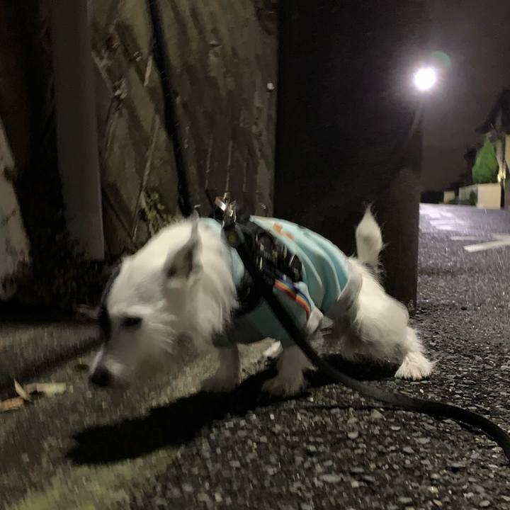 024843a1 6df4 42f9 a7a6 0cd43f3e1c6e 1731240294697