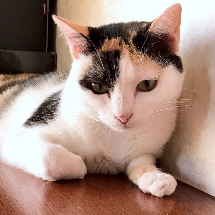 02484a38 a71e 4dba bf76 5f6386a1181f 1535244238573