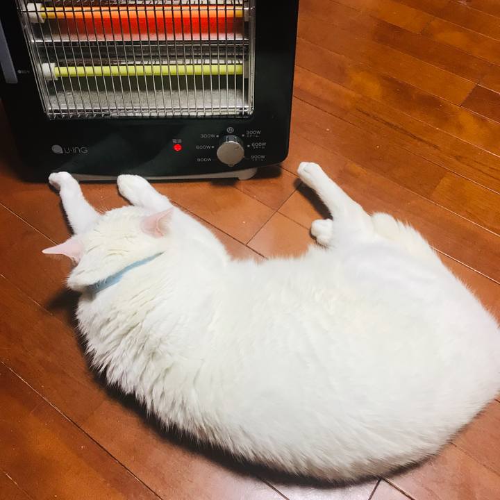 024850c8 0f2b 4a65 a5a2 df3b211714cd 1549464378974