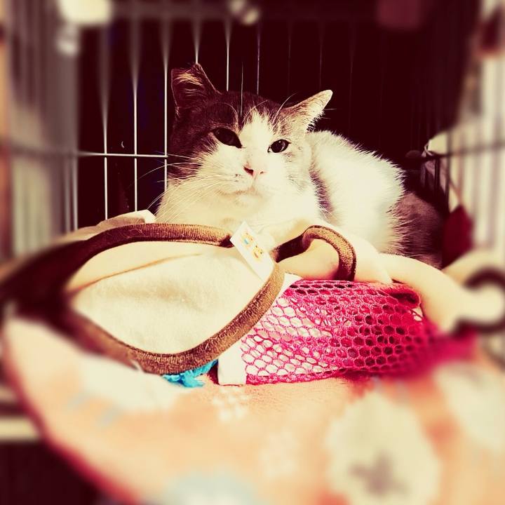 02485885 d59d 4653 8a4d 55a2eae92492 1766782940308