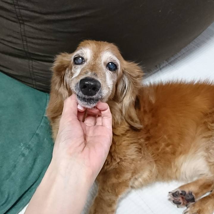 02485943 2d20 45be a4ac 236aba924b1a 1507522789709