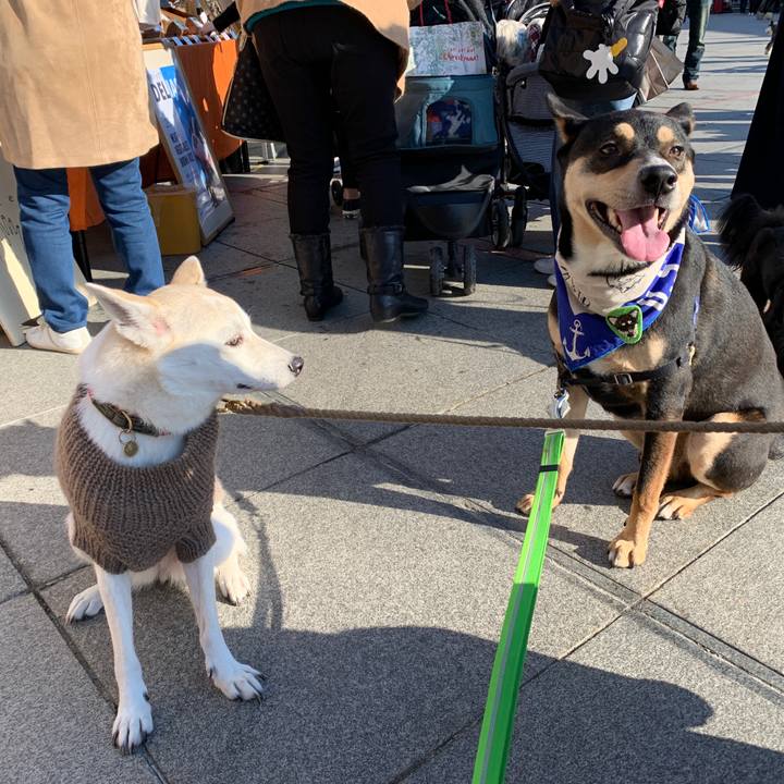 02486b99 f6de 492e ba91 3c3bbdfe2adf 1575181847287