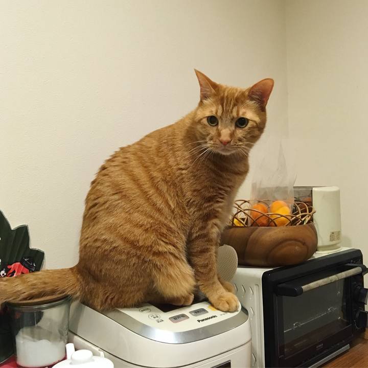 024903fc 5882 4742 adf1 94884eb1cd5f 1547423661480