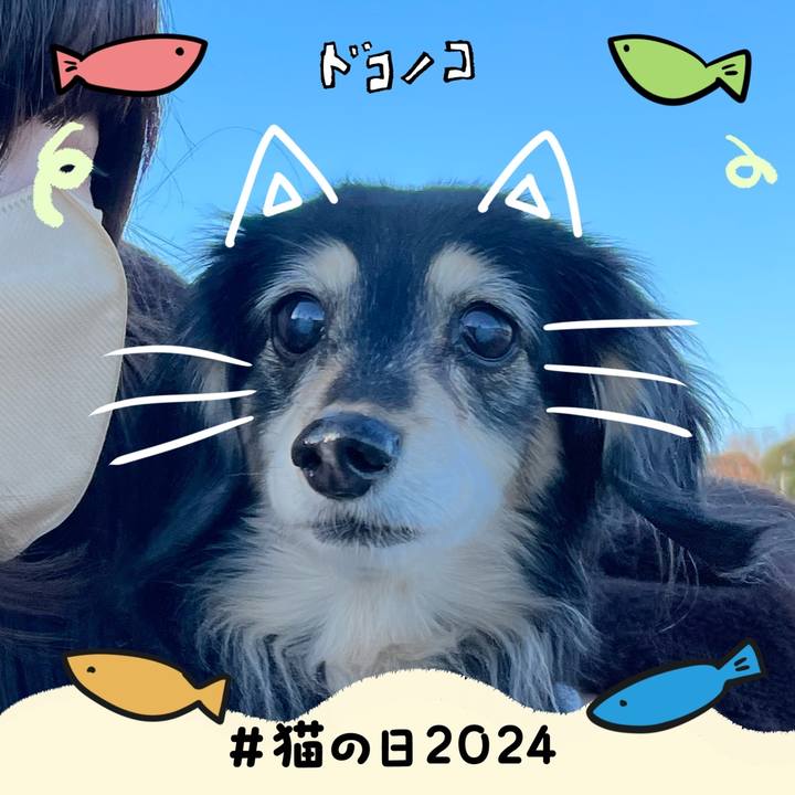 024934ff 8bc0 42ba ab56 7ca508be6f83 1708601726020