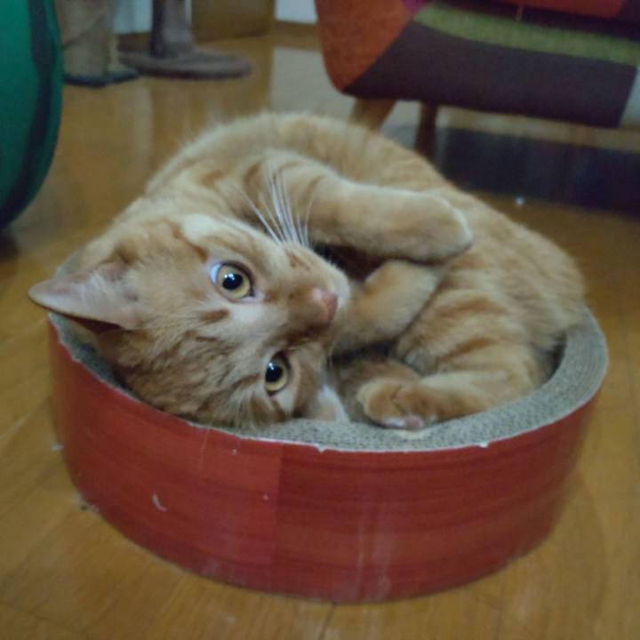 0249450d a7c6 459f 9c3e 942a498b10ae 1632312817536