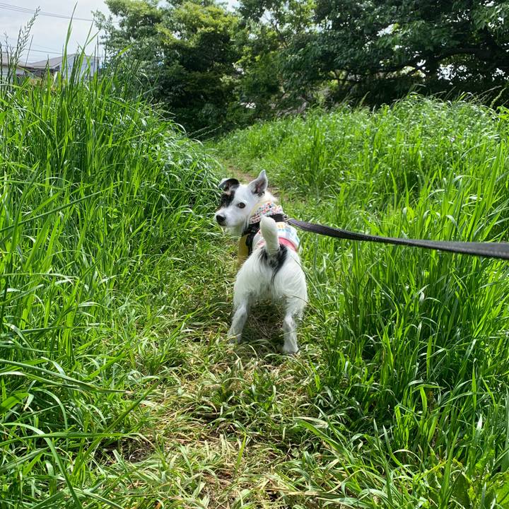 02495bea 8274 4562 b8b2 c955da03ba82 1746664126439