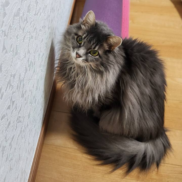 02495f8c 1040 4898 af5d 120258d8e403 1701904180589