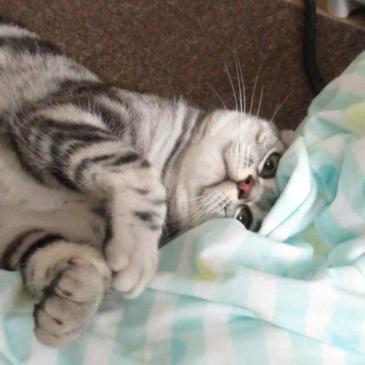 02498f65 e97a 4b9e 9b78 80c54002ca91 1559994976582