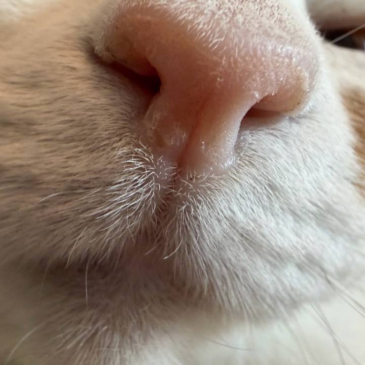 02499888 7579 4eea b72f 562c86e564e2 1772369303686