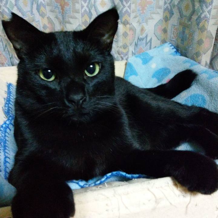 0249a991 ac3c 49ab 9683 68d1c2792ac5 1577700774895