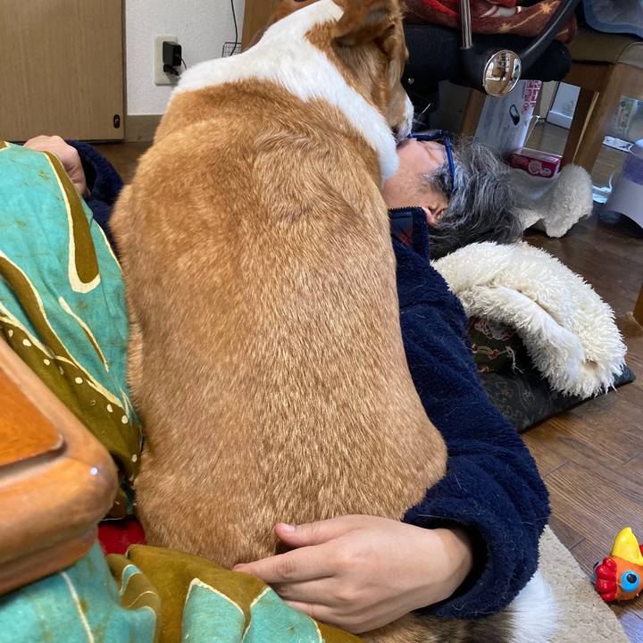 0249e1c5 99c5 4def be98 ba9160864a2e 1648991175656